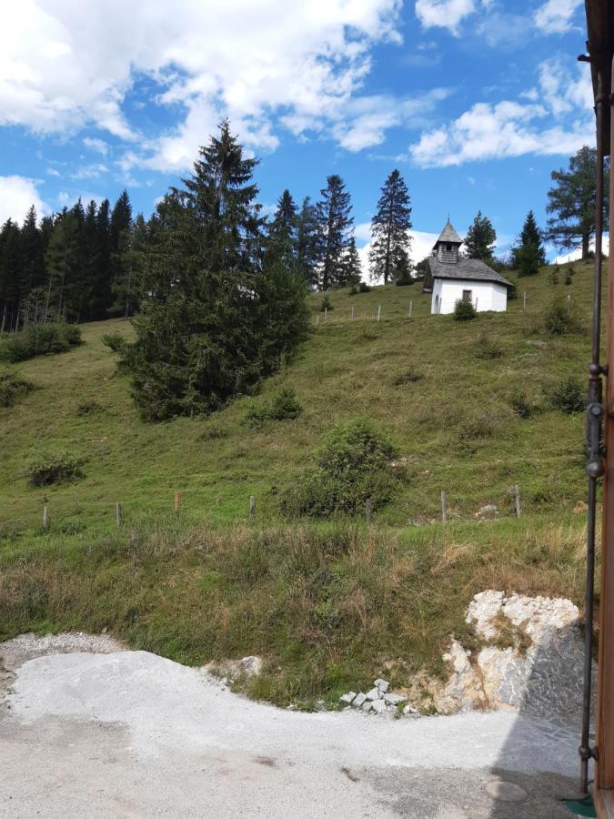 Sonnleit'N Zimmer 7 Abtenau Bagian luar foto