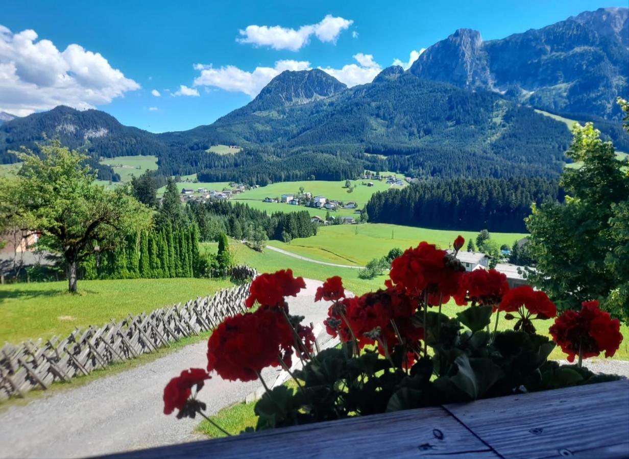 Sonnleit'N Zimmer 7 Abtenau Bagian luar foto