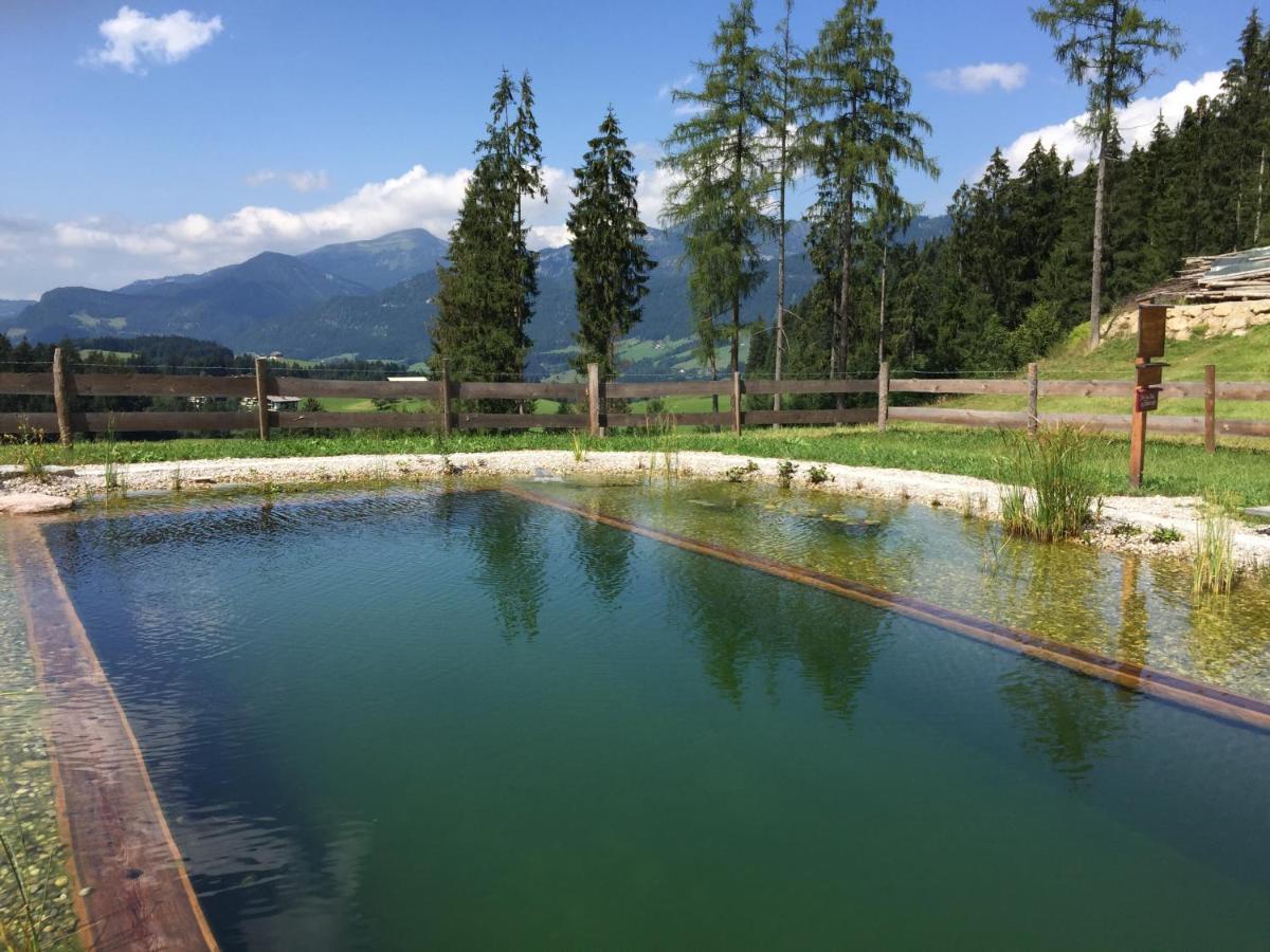 Sonnleit'N Zimmer 7 Abtenau Bagian luar foto