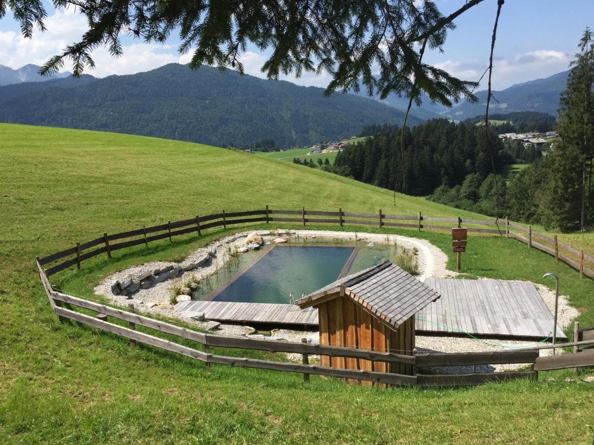 Sonnleit'N Zimmer 7 Abtenau Bagian luar foto