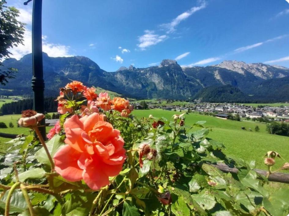 Sonnleit'N Zimmer 7 Abtenau Bagian luar foto